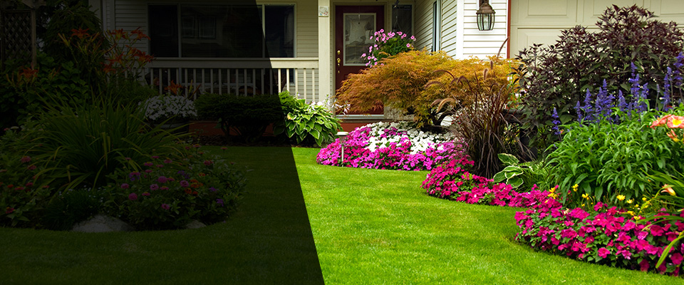 Delphi Landscapers