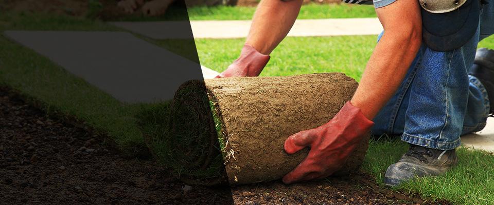 Delphi Landscapers